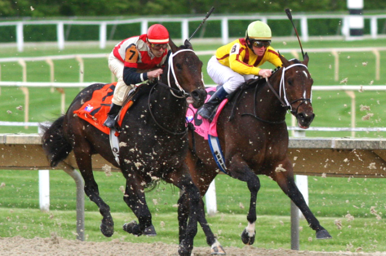 Genetic Surprises in Famous Racehorses