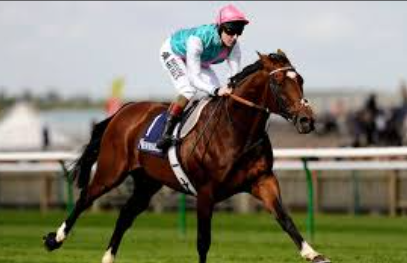 Gift Ideas for Every Horse Racing Fan