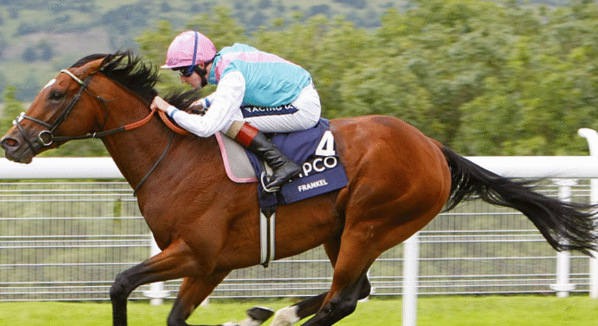 Fun Facts Kids Will Love About Racing